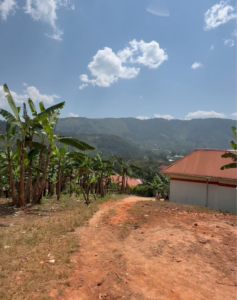 Unser Grundstück in Buhoma – Uganda